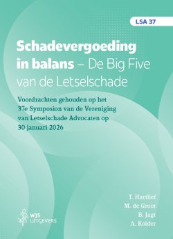 Schadevergoeding in balans. De Big Five van de Letselschade
